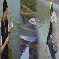 $imagenins.getAttribute(